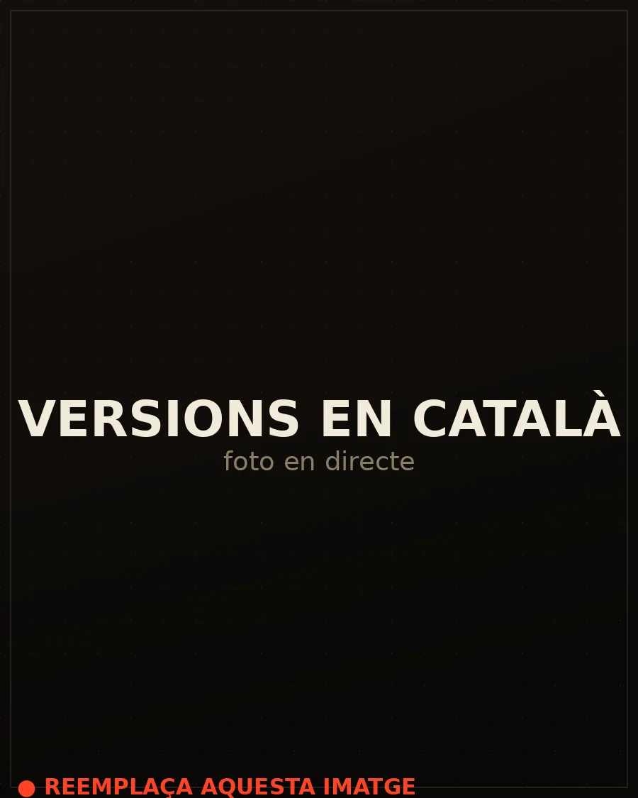 Versions en català del grup de versions