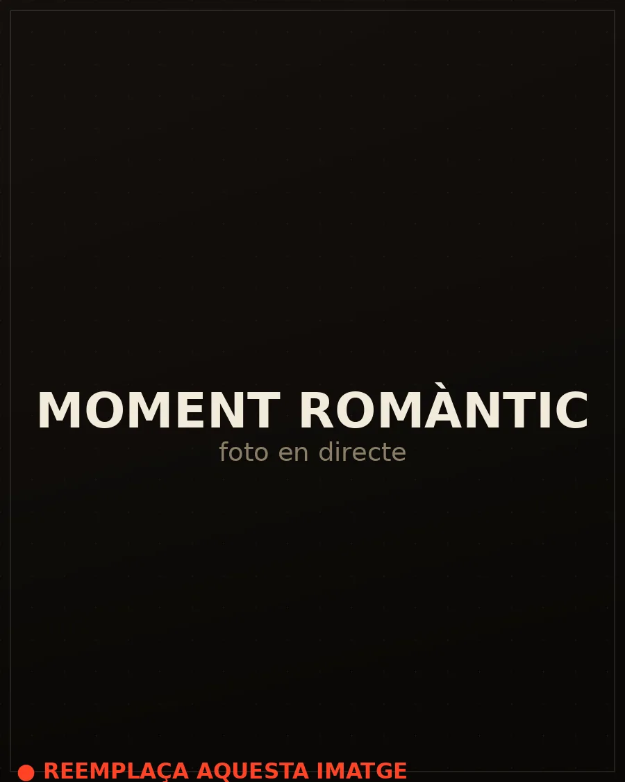 Moment romàntic i lentes del grup de versions per a bodes