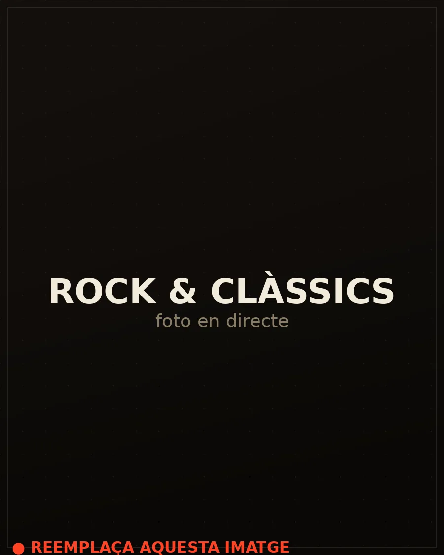 Repertori de rock i clàssics del grup de versions
